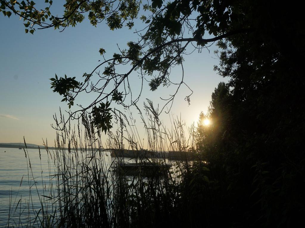 Pension Ins Fischernetz - Maentele Otel Meersburg Dış mekan fotoğraf